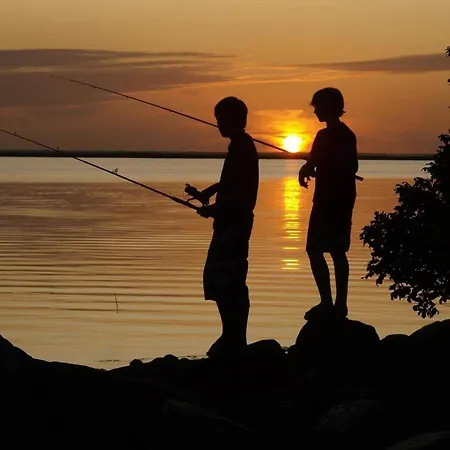 C11720-hemmet-kornblomstvaenget-2